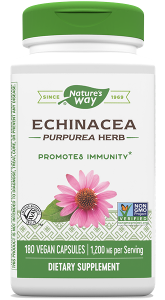 Equinacea / Echinacea
